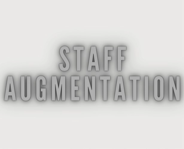 staff augmentation contractor and consulting