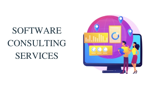 software consulting services bangalore